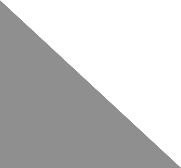 polygon 1